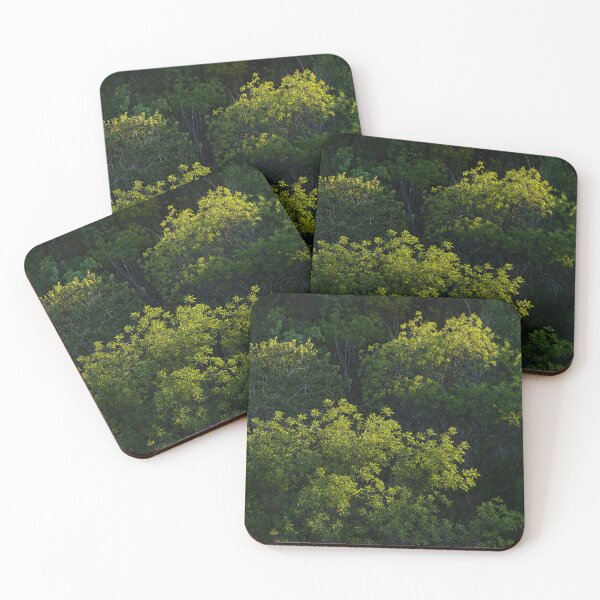 Item preview, Cottonwood trees raked by late-day side light designed and sold by lisavonbiela.