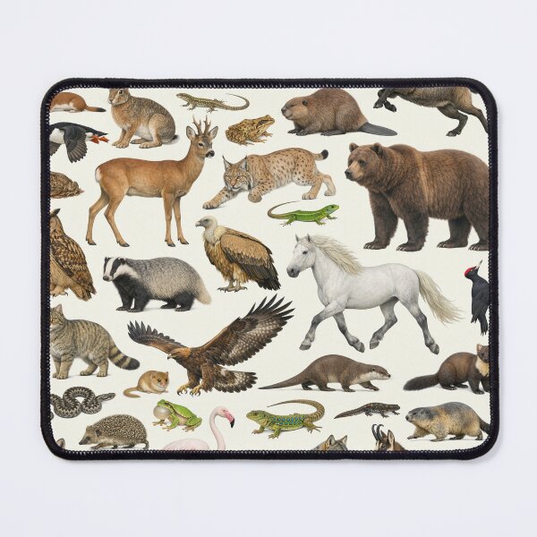 Item preview, Native Animals of France Retro Style Identification Chart designed and sold by kakarikihill.