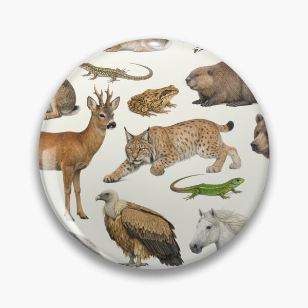 Item preview, Native Animals of France Retro Style Identification Chart designed and sold by kakarikihill.