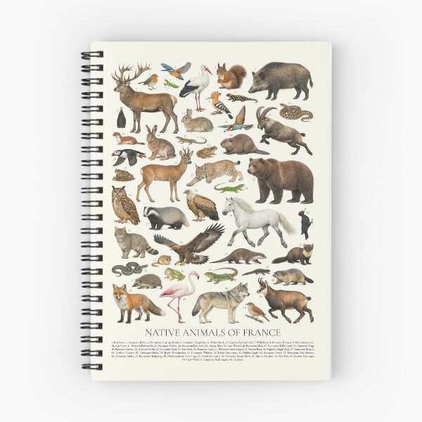 Item preview, Native Animals of France Retro Style Identification Chart designed and sold by kakarikihill.