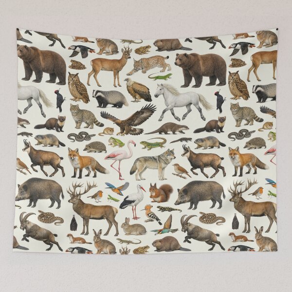 Item preview, Native Animals of France Retro Style Identification Chart designed and sold by kakarikihill.