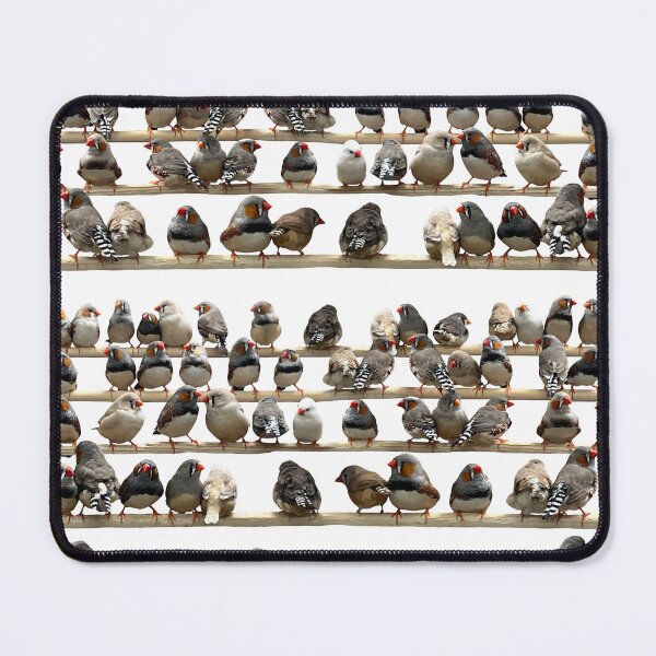 Item preview, Fabulous Finches designed and sold by KateVanFloofno1.