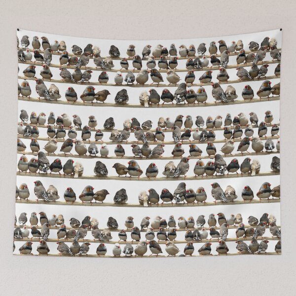 Item preview, Fabulous Finches  designed and sold by KateVanFloofno1.
