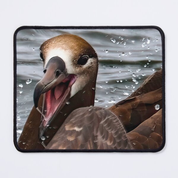 Item preview, AleutianLife Happy Albatross designed and sold by Aleutian Life Studios.