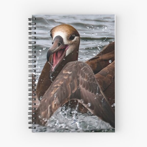 Item preview, AleutianLife Happy Albatross designed and sold by Aleutian Life Studios.