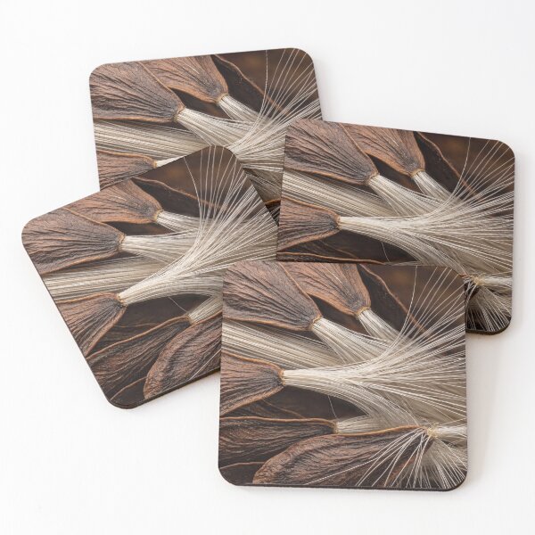 Item preview, Milkweed Seeds Built to Catch the Wind designed and sold by ASSEMBLE WONDER.