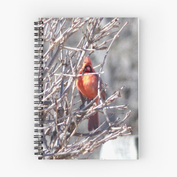 Item preview, Winter Cardinal designed and sold by SquaresArt.