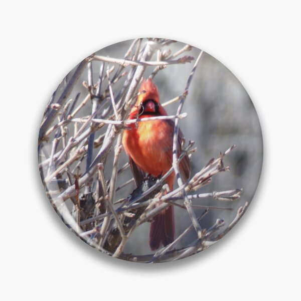 Item preview, Winter Cardinal designed and sold by SquaresArt.