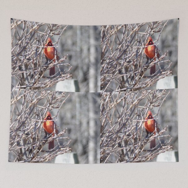 Item preview, Winter Cardinal designed and sold by SquaresArt.