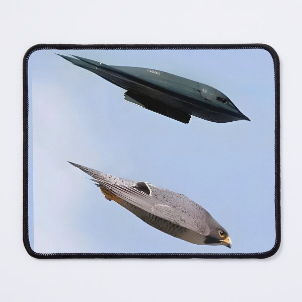 Item preview, B-2 designed and sold by ShabanMerch.