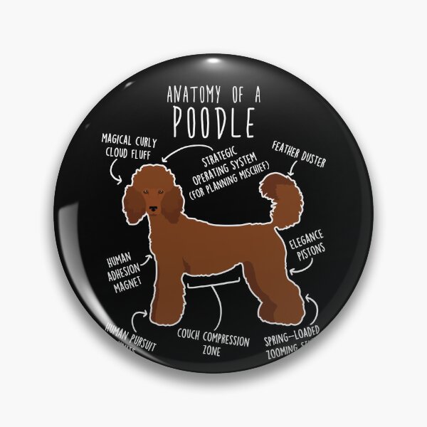 Item preview, Red Standard Poodle Dog Anatomy designed and sold by Clara Hollins.