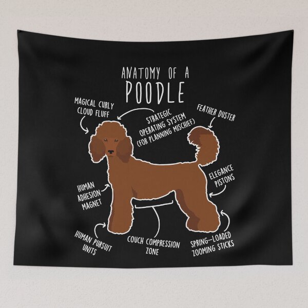 Item preview, Red Standard Poodle Dog Anatomy designed and sold by Clara Hollins.