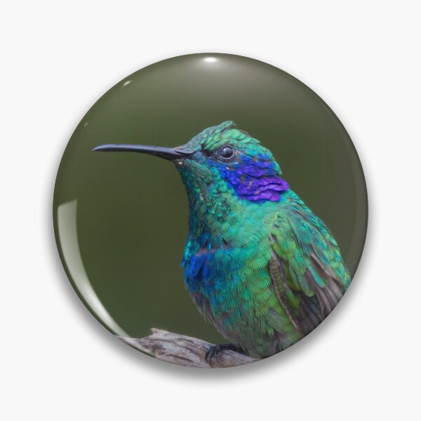 Item preview, Lesser Violetear designed and sold by smacdonn.