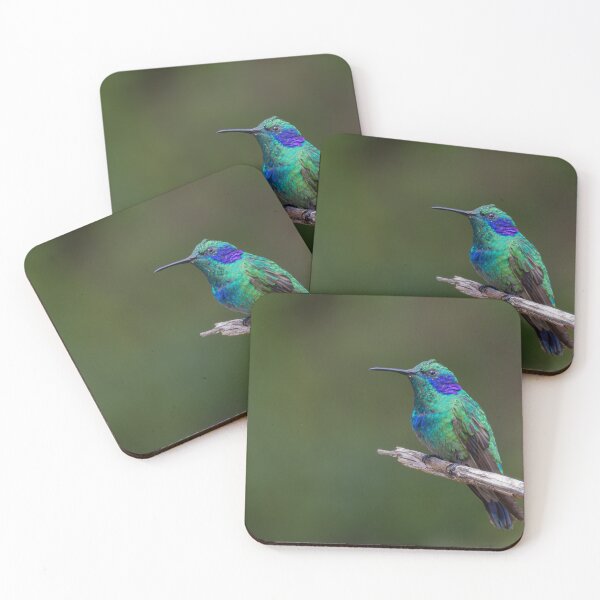 Item preview, Lesser Violetear designed and sold by smacdonn.