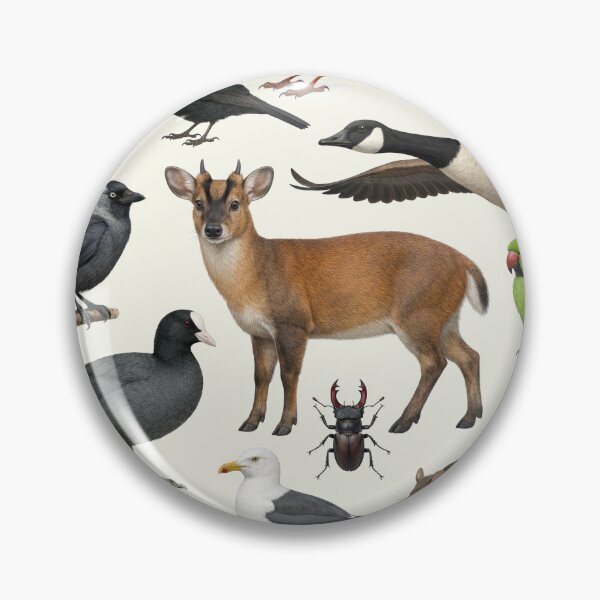 Item preview, Urban Animals of the British Isles Retro Identification Chart designed and sold by kakarikihill.