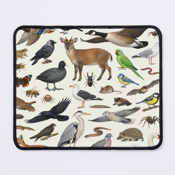 Item preview, Urban Animals of the British Isles Retro Identification Chart designed and sold by kakarikihill.