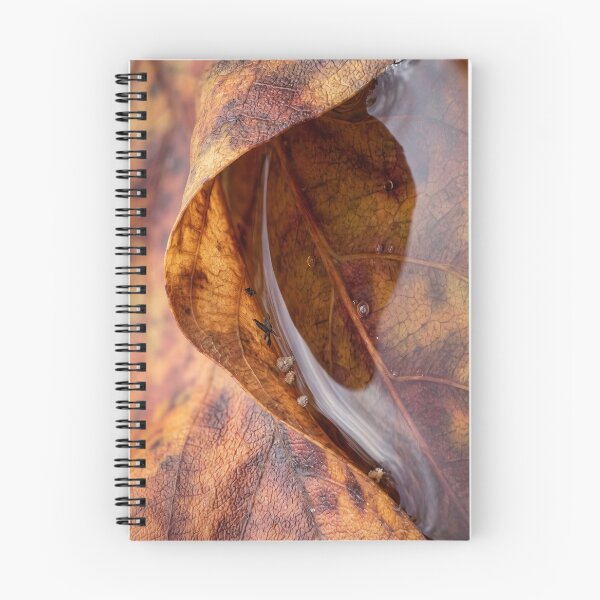 Item preview, Rainwater Caught Inside an Autumn Leaf designed and sold by ASSEMBLE WONDER.