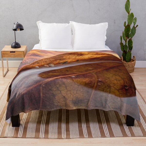 Item preview, Rainwater Caught Inside an Autumn Leaf designed and sold by ASSEMBLE WONDER.