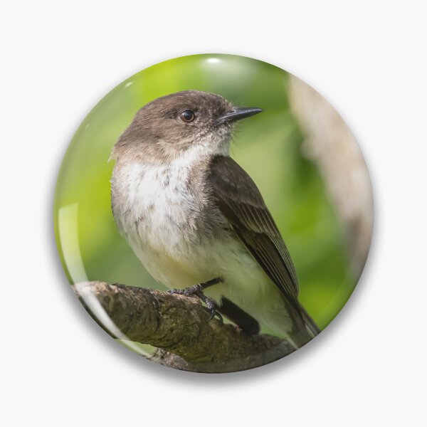 Item preview, Eastern Phoebe designed and sold by smacdonn.