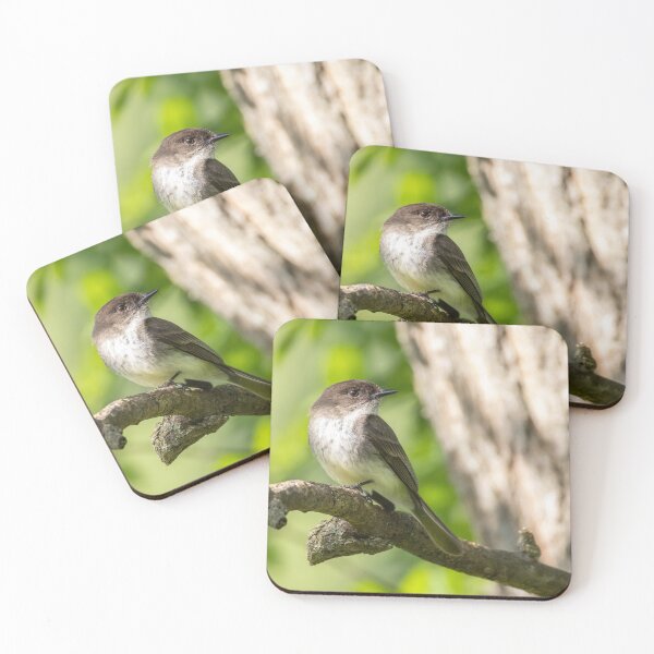 Item preview, Eastern Phoebe designed and sold by smacdonn.