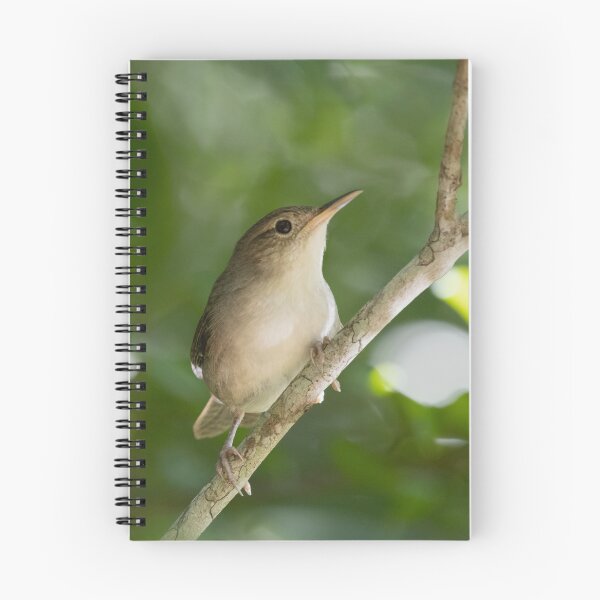 Item preview, Cozumel Wren designed and sold by smacdonn.