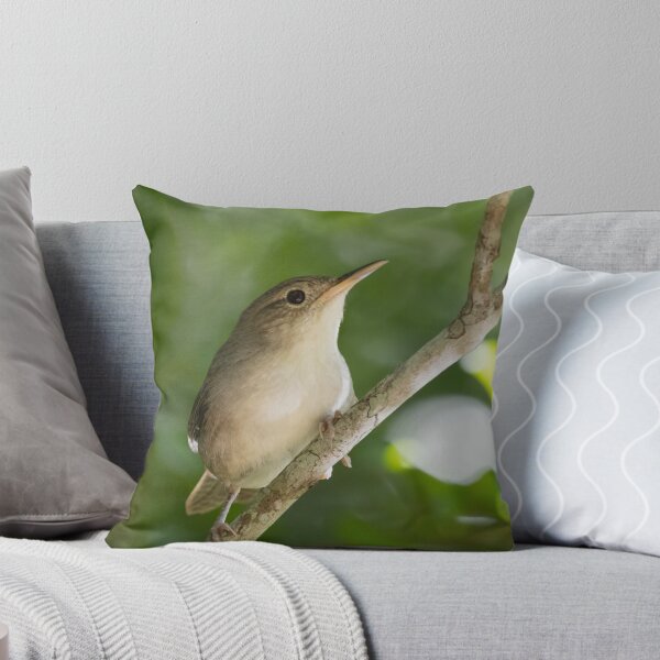Item preview, Cozumel Wren designed and sold by smacdonn.