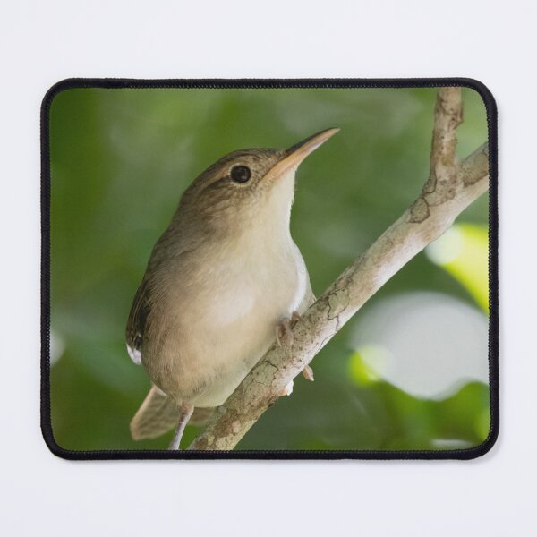 Item preview, Cozumel Wren designed and sold by smacdonn.