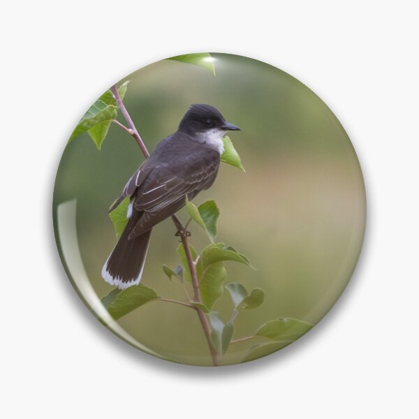 Item preview, Eastern Kingbird designed and sold by smacdonn.