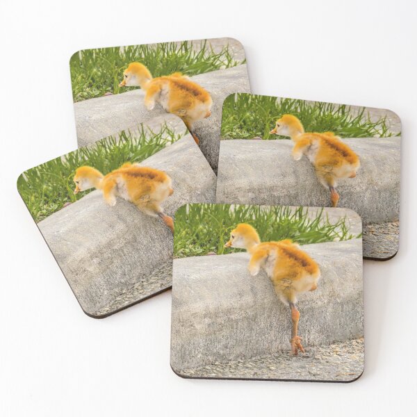 Item preview, Sandhill crane colt "I know I can, I know I can" designed and sold by Zina Stromberg.