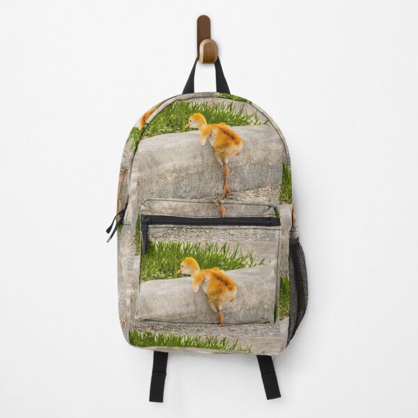 Item preview, Sandhill crane colt "I know I can, I know I can" designed and sold by Zina Stromberg.