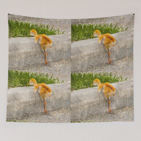 Item preview, Sandhill crane colt "I know I can, I know I can" designed and sold by Zina Stromberg.