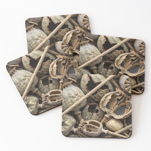 Item preview, I’d Pick These Up on a Walk designed and sold by ASSEMBLE WONDER.