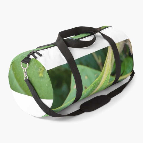 Item preview, Soft Fluid No Good Racing bGradient Curves designed and sold by Kristianjusari.