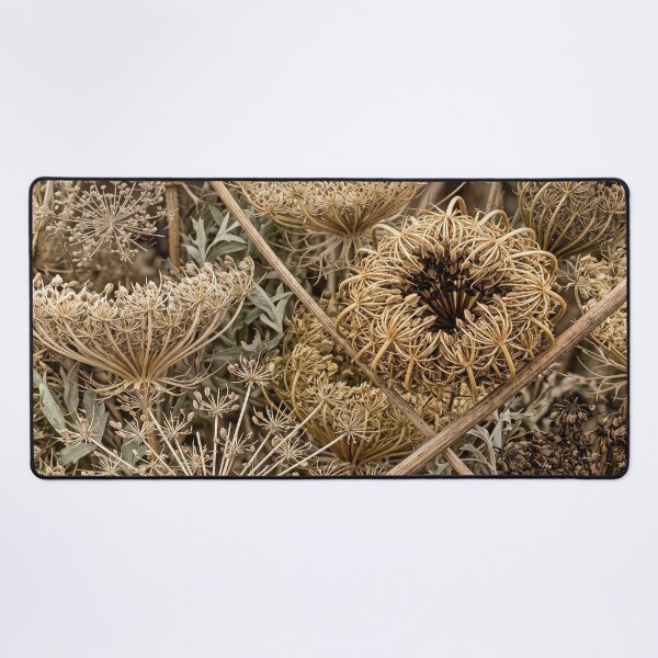 Item preview, Dried Queen Anne’s Lace After the Flowers Are Gone designed and sold by ASSEMBLE WONDER.