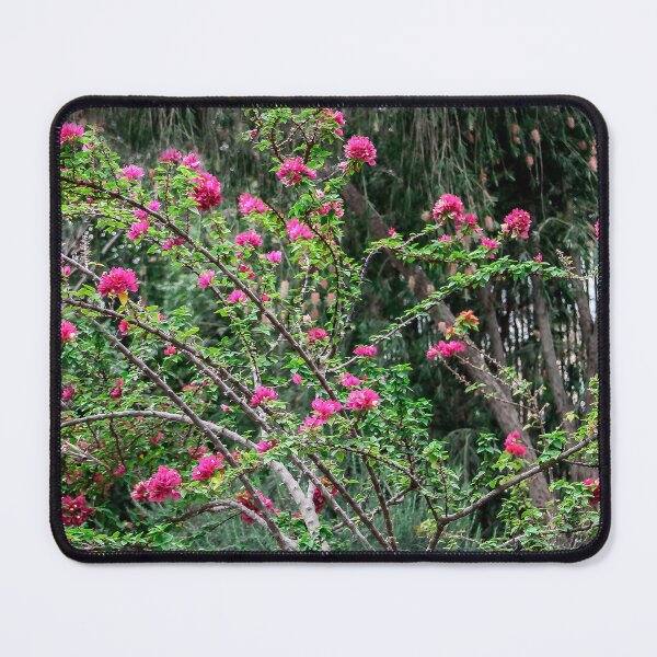 Item preview, Growing Wild in the City designed and sold by heatherfriedman.