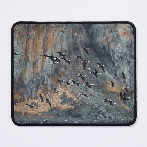 Item preview, AleutianLife Emperor Geese in Flight designed and sold by Aleutian Life Studios.