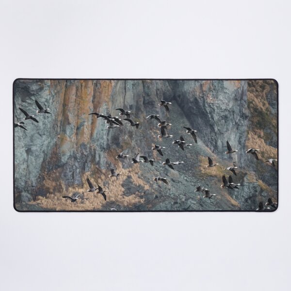 Item preview, AleutianLife Emperor Geese in Flight designed and sold by Aleutian Life Studios.