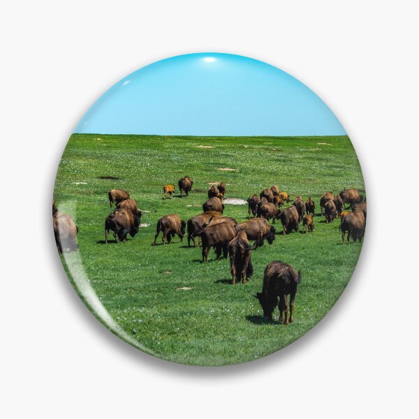 Item preview, Where the bison roam designed and sold by Darrell Kroulik.
