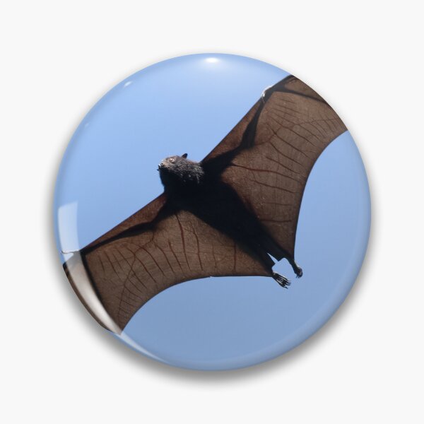 Item preview, Fruit bat in flight over the those roosting in tree. designed and sold by Brian Scantlebury.