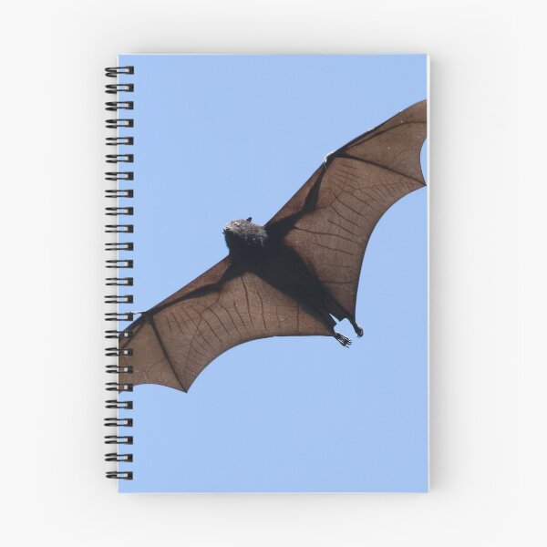 Item preview, Fruit bat in flight over the those roosting in tree. designed and sold by Brian Scantlebury.