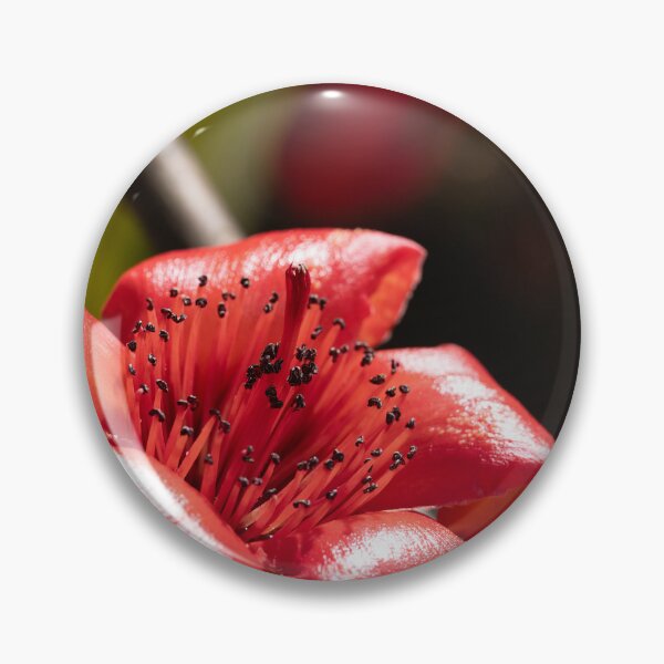 Item preview, vibrant red blossoms from a red silk-cotton tree  designed and sold by Brian Scantlebury.