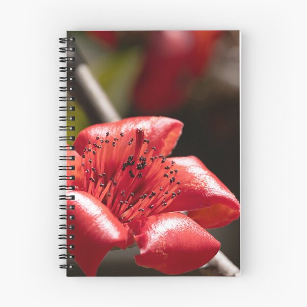 Item preview, vibrant red blossoms from a red silk-cotton tree  designed and sold by Brian Scantlebury.