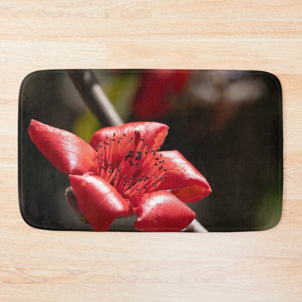 Item preview, vibrant red blossoms from a red silk-cotton tree  designed and sold by Brian Scantlebury.