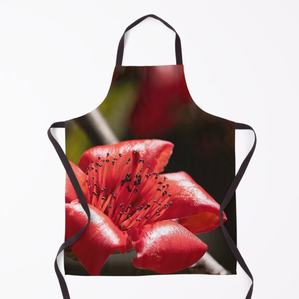 Item preview, vibrant red blossoms from a red silk-cotton tree  designed and sold by Brian Scantlebury.