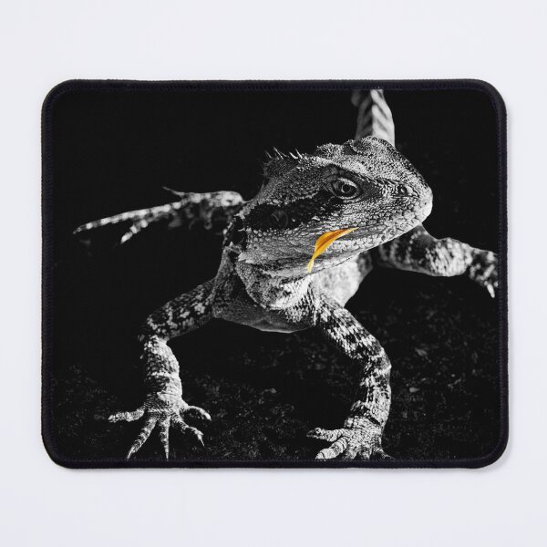Item preview, Lizard in black and white, with orange flower petal designed and sold by Brian Scantlebury.