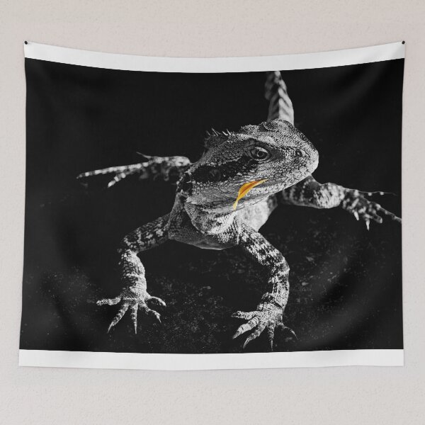 Item preview, Lizard in black and white, with orange flower petal designed and sold by Brian Scantlebury.