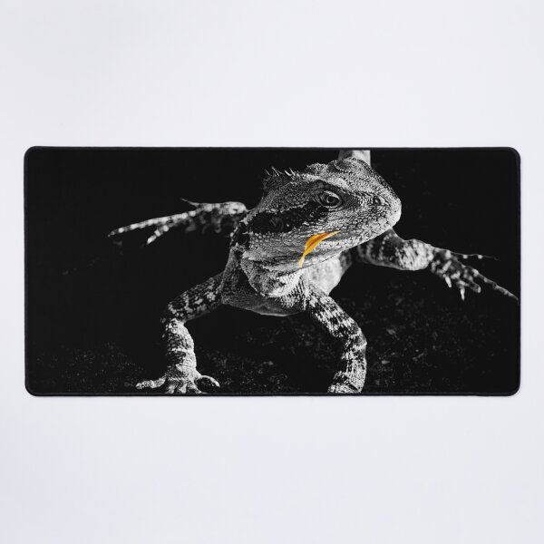 Item preview, Lizard in black and white, with orange flower petal designed and sold by Brian Scantlebury.