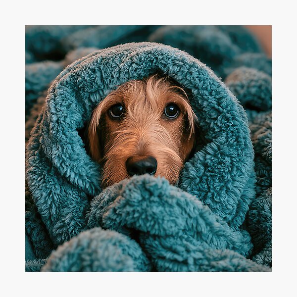 Item preview, GBGV Puppy in Blanket 01 designed and sold by Elisabeth Lucas.