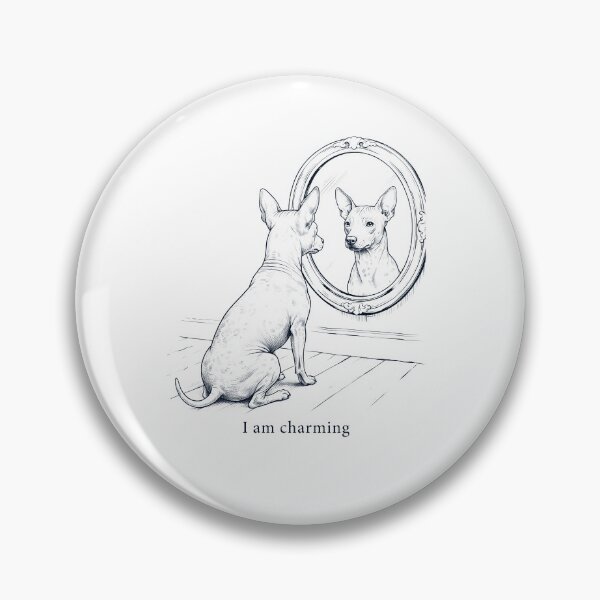Item preview, American Hairless Terrier I Am Charming Mirror Meme Dog Lover designed and sold by dian-rody-crest.