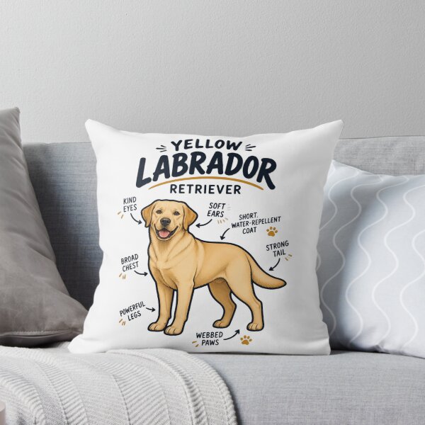 Aperçu de l'œuvre Detailed Yellow Labrador Retriever Dog Anatomy Illustration for Animal Lovers créée et vendue par Piiouf.